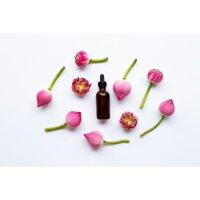 Tinh dầu hoa sen hồng 10gr, nguyên liệu mỹ phẩm - 3C