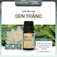 Tinh Dầu Hoa Sen Trắng Nguyên Chất An Yên | Lotus Essential Oil | Thư Giãn, Khử Mùi, Ngủ Ngon