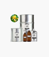 Tinh Dầu Hoàng Ngọc Lan