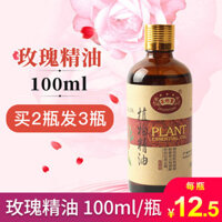 Tinh dầu hợp chất hoa hồng massage toàn thân tinh dầu massage spa tinh dầu massage toàn thân couple dầu massage 100ml tinh dầu húng chanh
