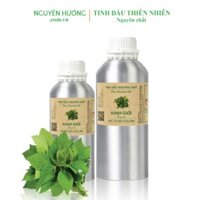 Tinh Dầu Kinh Giới Nguyên Chất 1 Lít | Tinh Dầu Thiên Nhiên Cao Cấp Nguyên Hương hcm
