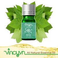 Tinh Dầu Kinh Giới Nguyên Chất