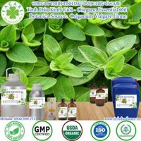 Tinh Dầu Kinh Giới – Oregano Essential Oil