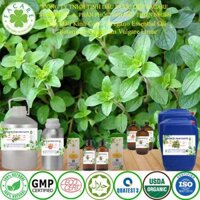 Tinh Dầu Kinh Giới – Oregano Essential Oil