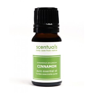 Tinh dầu lá quế Scentuals Cinnamon Leaf Pure Essential Oil 10ml