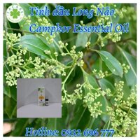 Tinh dầu Long Não Camphor essential oil thơm phòng, đuổi mỗi, bảo vệ sức khỏe gia đình - 10ml/50ml/100ml