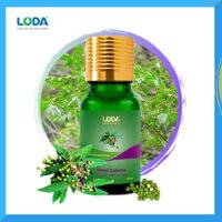 Tinh Dầu Màng Tang Loda 🆓 Free Ship 🆓 Tinh Dầu 100% Thiên Nhiên Có giấy tờ kiếm định