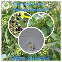 Tinh dầu Màng tang May chang essential oil - 10ml/50ml100ml