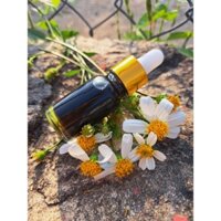 Tinh dầu mù u nguyên chất