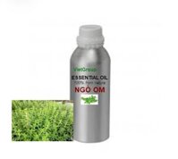 TINH DẦU NGÒ OM (RAU OM)