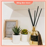 Tinh Dầu Nước Hoa Eyun Aroma Mùi Vanilla Hương Thơm Dễ Chịu, Nhẹ Nhàng Và Ngọt Ngào [Có Sẵn - Full Box]