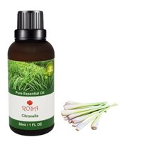 Tinh dầu sả Java 30ml đuỗi muỗi, xông phòng, xịt phòng, ô tô
