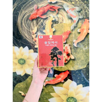 TINH DẦU THÔNG ĐỎ HỒNG GẤM CHÍNH HÃNG MẪU MỚI - ĐĂNG KHOA GG