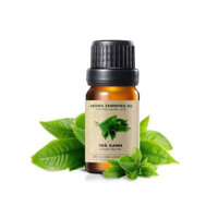 Tinh Dầu Trà Xanh 50ml