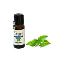 Tinh dầu Trà Xanh Oricen 10ml