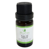Tinh dầu tràm gió - Cajeput 10ml  Bio Aroma