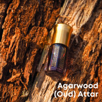 Tinh dầu trầm hương Agarwood (Oud) Attar Oil