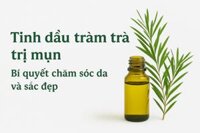 Tinh Dầu Tràm Trà Nguyên Chất – Trị Mụn, Làm Dịu Da, Kháng Khuẩn