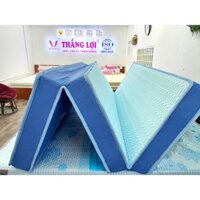 (TỈNH) NỆM ĐIỀU HOÀ THẮNG LỢI GẤP 3- VITAMIN COOL-NỆM và CHÍNH HÃNG BẢO HÀNH 15 NĂM VỀ SỤT LÚN (xanh)