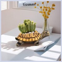 Tiomnv56 Máy trồng cây mọng nước rùa, ​Chậu hoa hình rùa thân thiện với môi trường Mini, Giá đỡ cây cảnh bằng nhựa trang trí giống như thật chất lượng cao để bàn