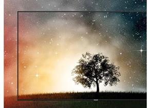 Smart Tivi Panasonic 65 inch 4K TH-65DX700V