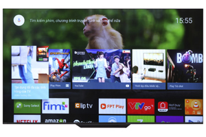 Tivi OLED Sony 55 inch 4K KD-55A8F