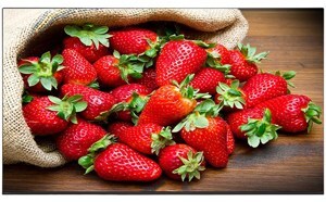 Tivi OLED Sony 65 inch 4K KD-65A9F