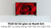 Tivi Panasonic 49 inch TH-49E410V