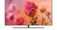 Tivi QLED Samsung 65 Inch QA65Q9FNAKXXV