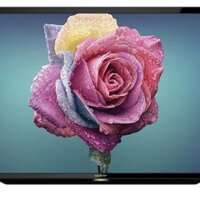 Tivi Sharp 32 inch 2T-C32BD1X