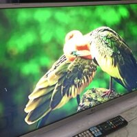[Tivi  Smart LG 32" Full Phụ kiện Đẹp - Bền Lướt Mạng Rất Nhanh]