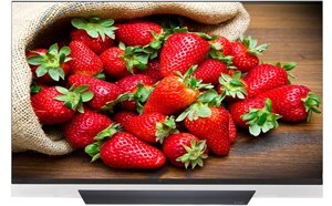 Tivi Smart OLED LG 55 inch 4K 55E8PTA