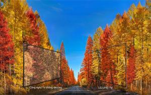 Tivi Smart Panasonic 55 inch 4K TH-55FX700V