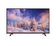 Tivi TCL 43 Inch L43S62 LED