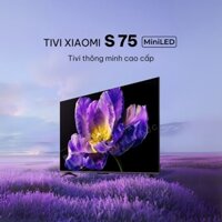 Tivi Xiaomi S75 Mini LED 75 inch – Tần số 240 Hz, màn hình 4K, bù chuyển động MEMC
