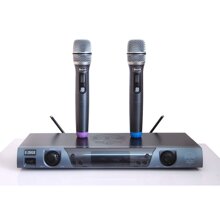 Micro không dây BBS E-250 GS