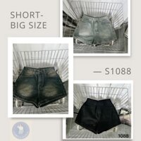 TN BIG SIZE Quần Short Jean Basic S1088 Big Size 40-55 KG Nữ  Women