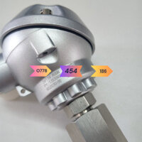 Tn48479596 2 * PT100 150 Độ Cảm Biến Nhiệt Độ 902030/80 Đức Jummo