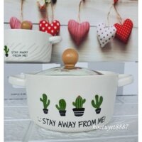 Tô ăn mì, Bát sứ cao cấp hình Sương Rồng phong cách Hàn Quốc có nắp thủy tinh