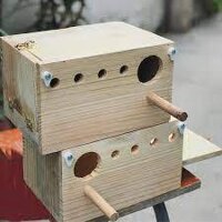 Tổ đẻ Vẹt mã lai, yến phụng EU, greencheek, chất liệu gỗ thông nhập.