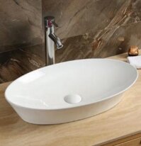 Tô Lavabo Sứ Roland TS19