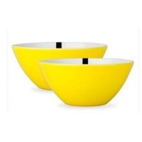 Tô nhựa nhỏ mầu 2 lớp (HH602D)