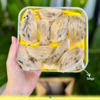 Tổ yến thô tự nhiên 50gr - Tặng Táo đỏ, đường phèn và nhíp nhặt lông - Yến Sào YẾN BAY