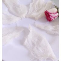 Tổ yến tinh chế loại 1 nguyên chất 100% 1 tổ dùng thử 10g kèm đường phèn & táo đỏ