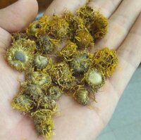 Toàn phúc hoa – Thảo dược Bách An Khang JD345 toanphuchoa – Bách An Khang | Bachankhang.com | Thế giới thảo dược, đông trùng hạ thảo, yến sào Khánh Hòa