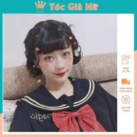 Tóc giả nữ đẹp nguyên đầu xoăn ngắn 20cm d3038, tặng kèm lưới trùm tóc wig