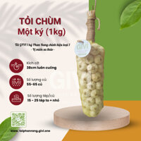 Tỏi chùm Phan Rang GIVI - Chùm 1 ký - Kích thước 38 cm - Gia vị, thức ăn, quà tặng