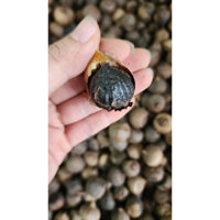 tỏi đen 500g -1kg