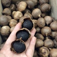 Tỏi đen cô đơn sống 1kg