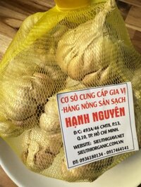 Tỏi hà nội đặc biệt  0,5kg